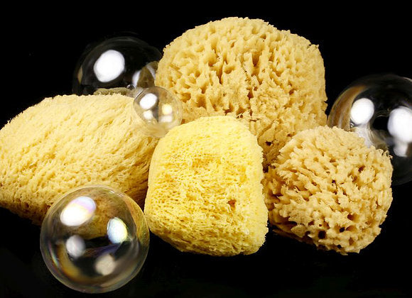 Sea Sponge – living simply soap