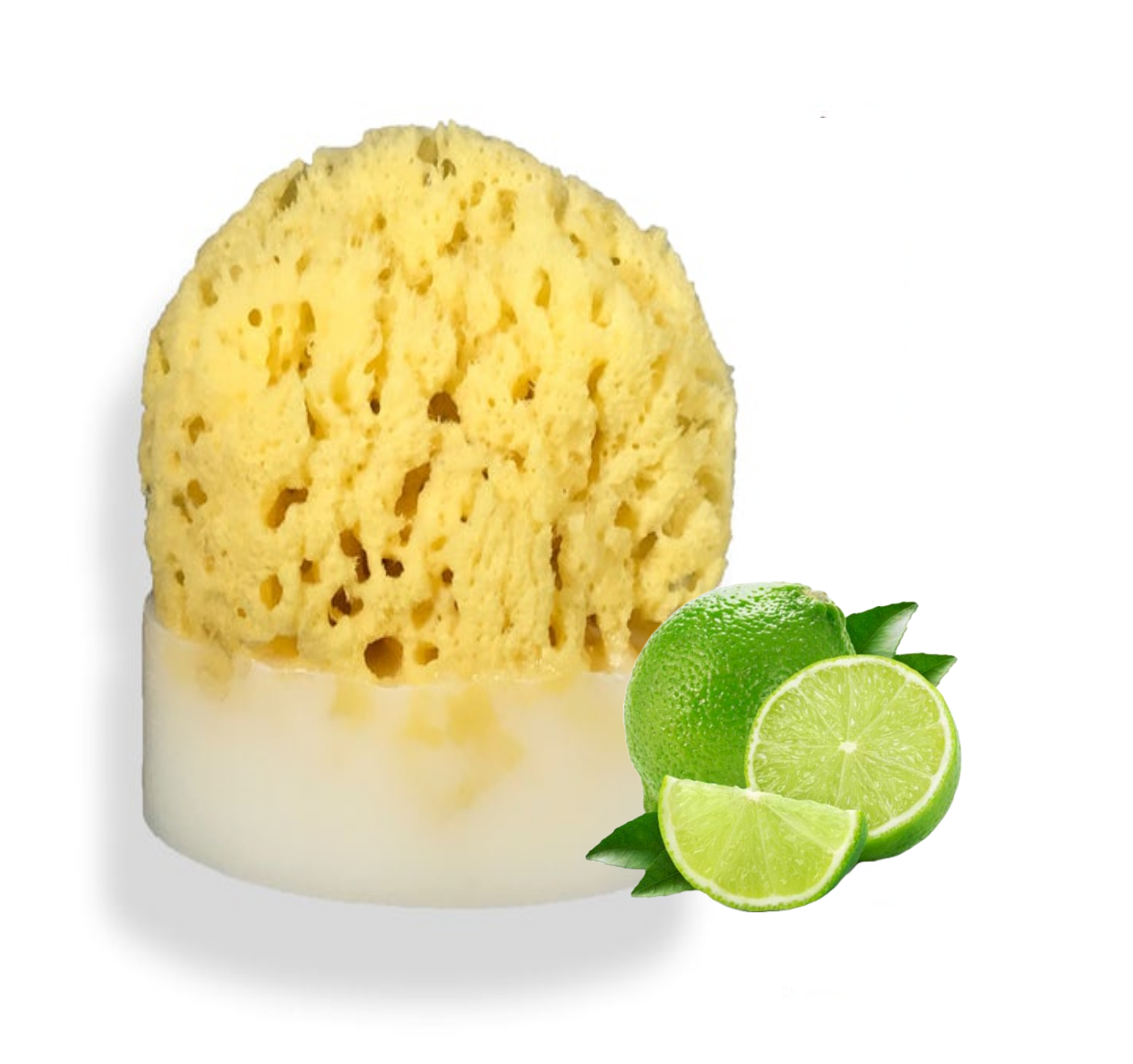 Key Lime Sea Sponge Soap
