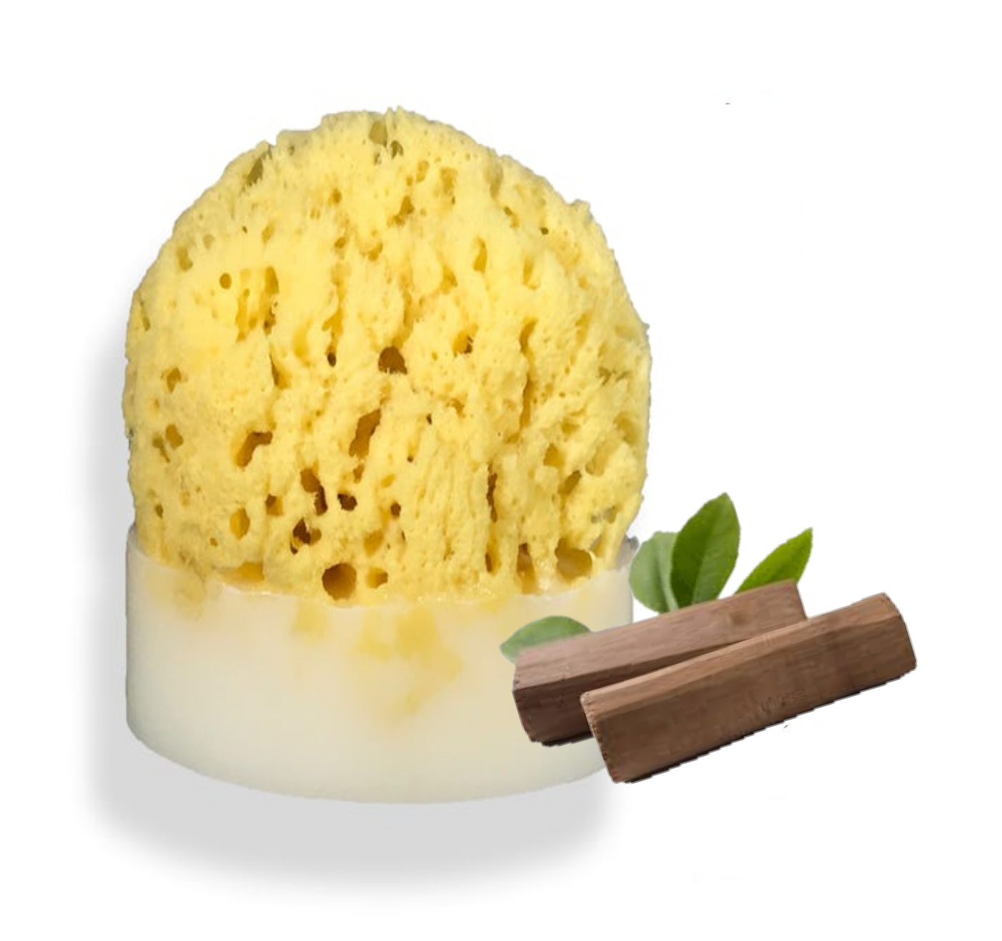 Sandalwood Sea Sponge Soap