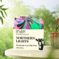 Northern Lights Goat Milk Soap-UP NORTH COLLECTION
