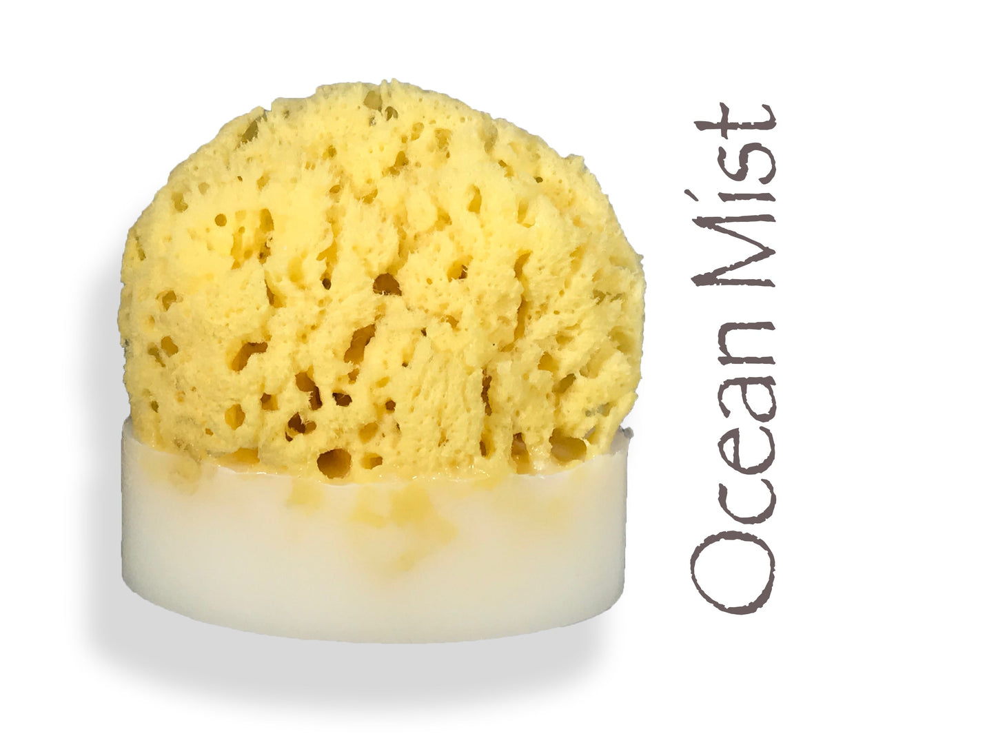 Ocean Mist Sea Sponge Soap - Splash Soap Company