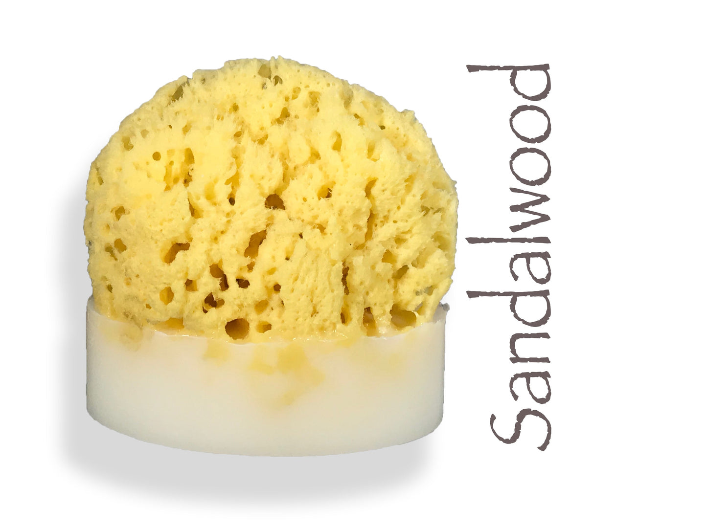 Sandalwood Sea Sponge Soap - Splash Soap Company