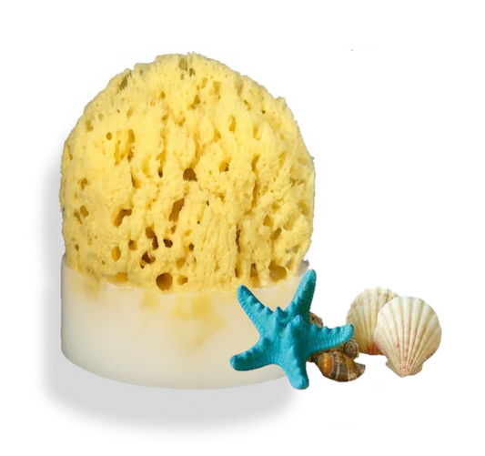 Beach Sea Sponge Soap
