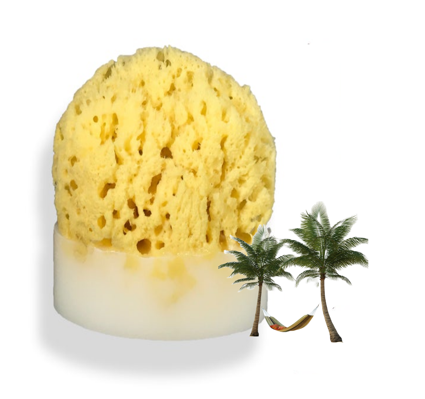Caribbean Escape Sea Sponge Soap