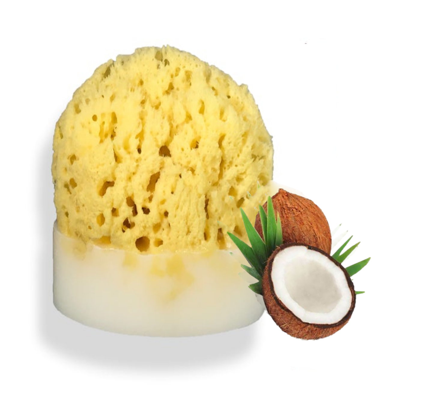 Island Coconut Sea Sponge Soap