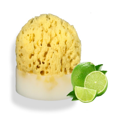 Key Lime Sea Sponge Soap