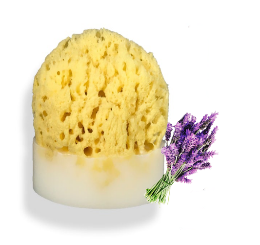 Lavender Sea Sponge Soap
