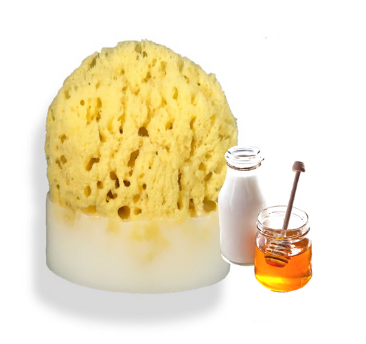Oatmeal Milk & Honey Sea Sponge Soap